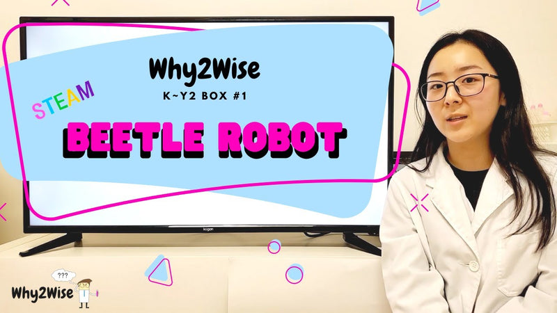 Online Learning Program K-Y2 #1-4 STEAM - Beetle Vibrator Robot
