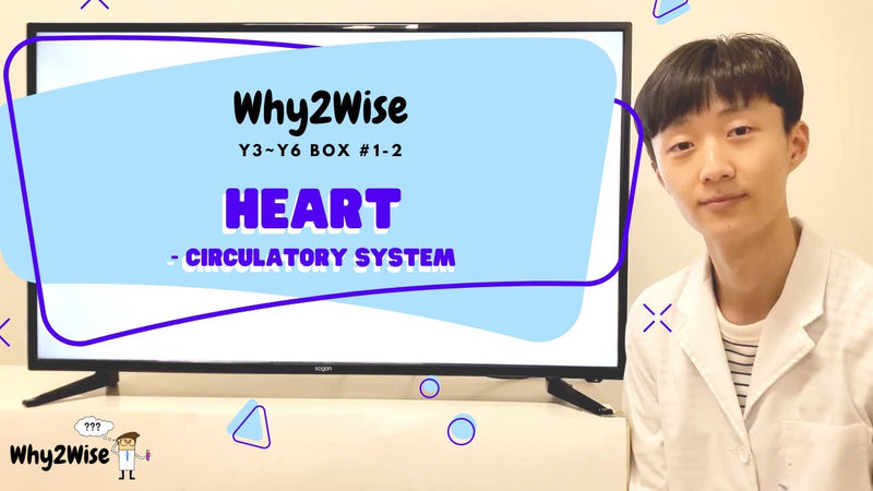 Online Learning Program Y3-Y6 #1-2 Circulatory System, Heart