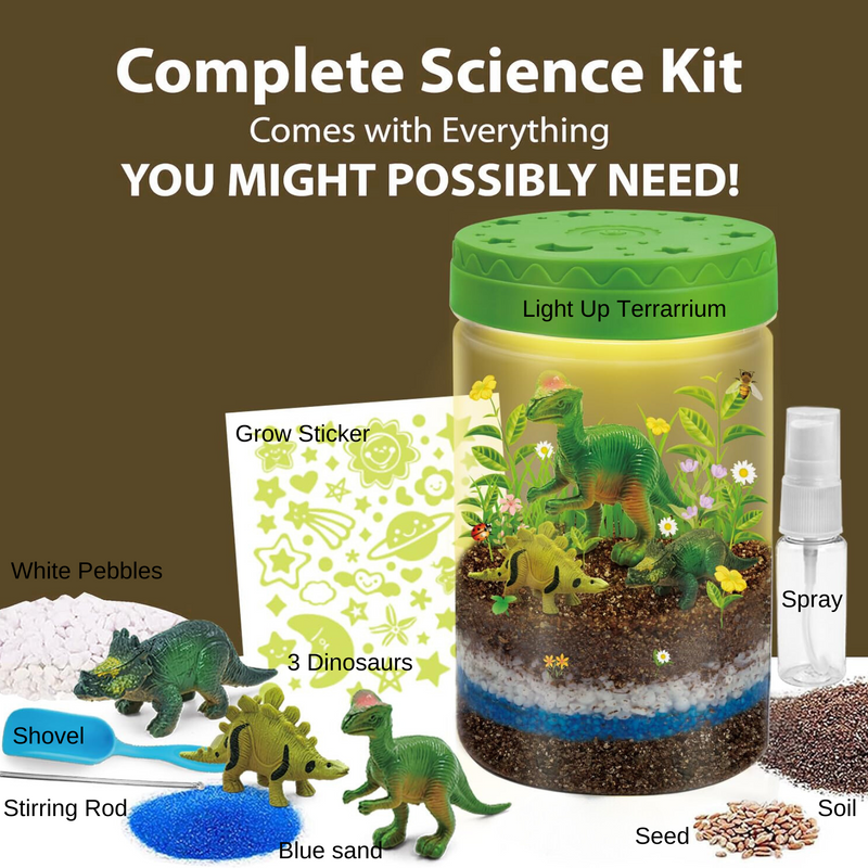Dinosaur Terrarium Kit