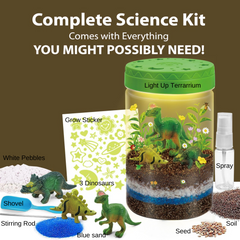 Dinosaur Terrarium Kit