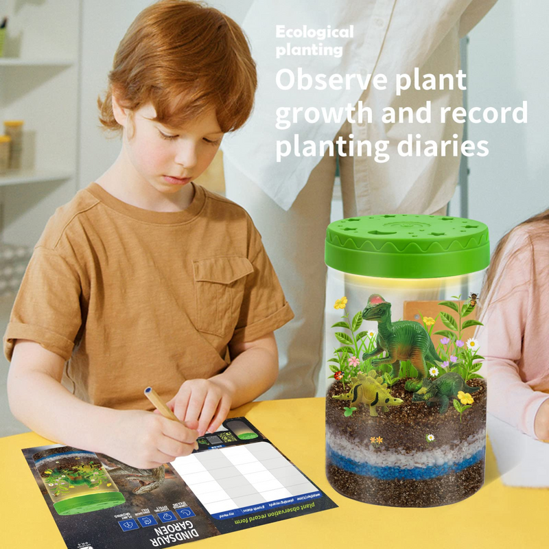 Dinosaur Terrarium Kit