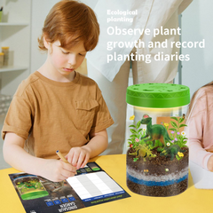 Dinosaur Terrarium Kit