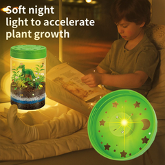 Dinosaur Terrarium Kit