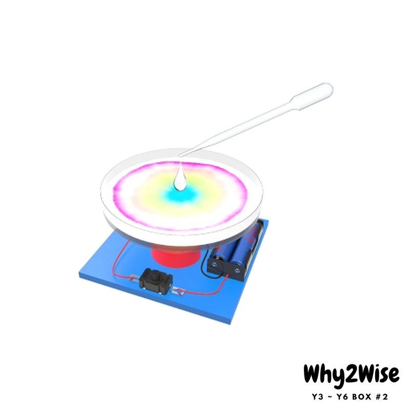 [Online Learning] Y3~Y6 Science Box #2 - Why2Wise