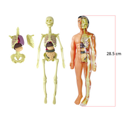 [Kit] The Human Body