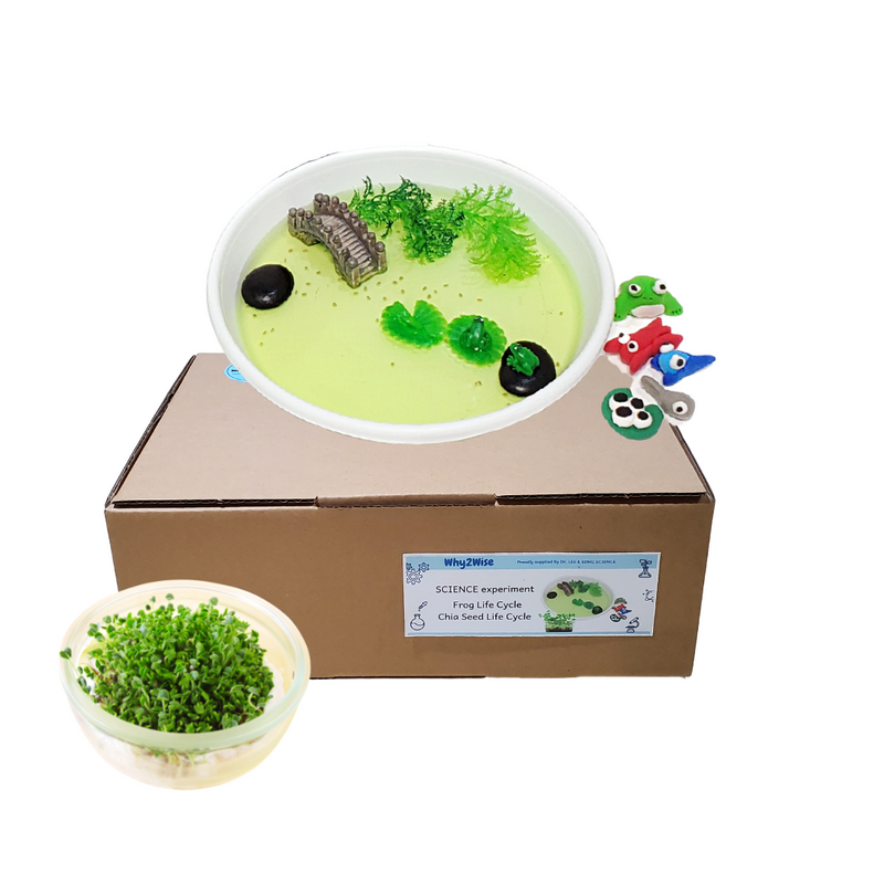 Science Lab Kit-Life Cycle of Frog and Chia Seeds - Why2Wise