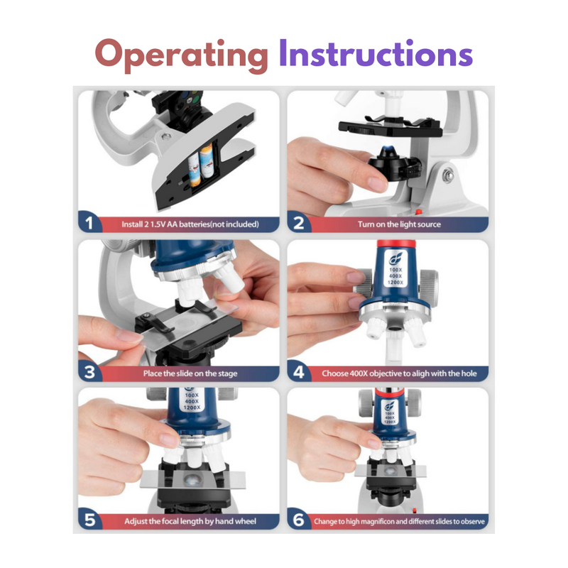 Microscope + 12 Prepared Slides