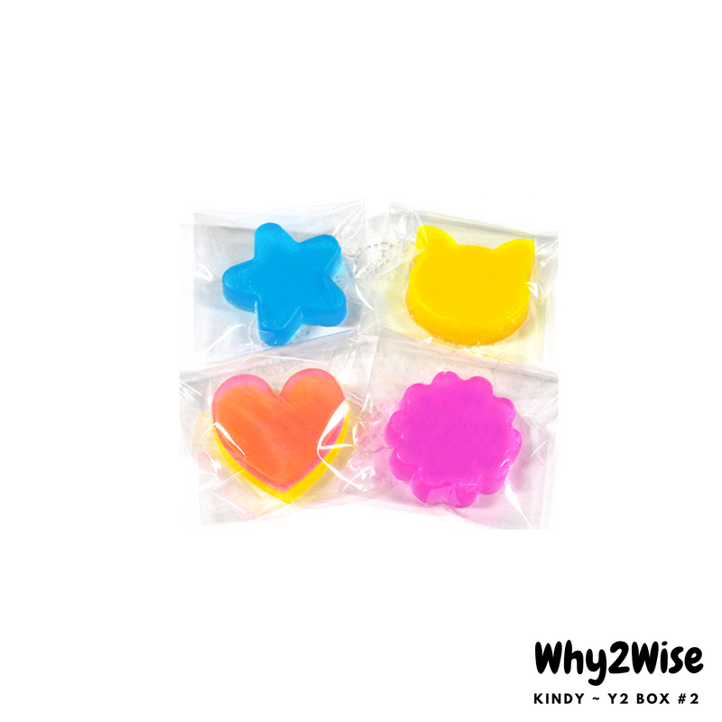 [Online Learning] K~Y2 Science Box #2 - Why2Wise
