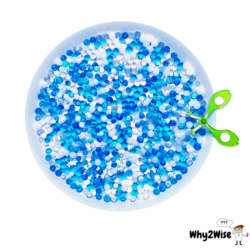 [Sensory Play] Ocean and Fishing - Why2Wise
