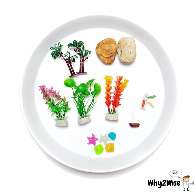 [Sensory Play] Ocean and Fishing - Why2Wise