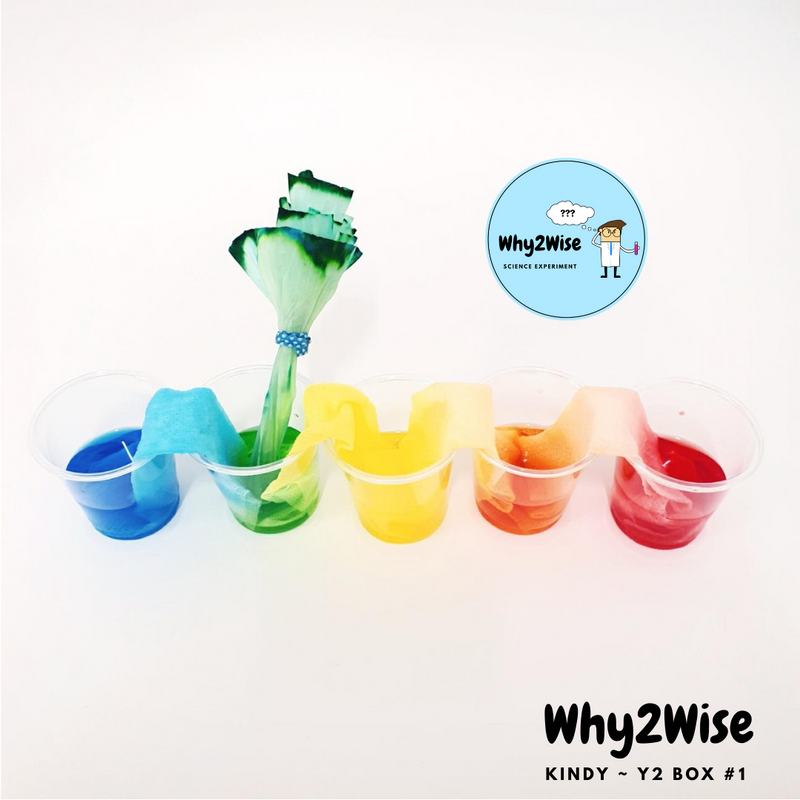 [Online Learning] K~Y2 Science Box #1 - Why2Wise