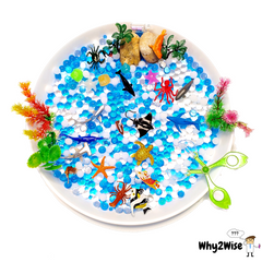 [Sensory Play] Ocean and Fishing - Why2Wise